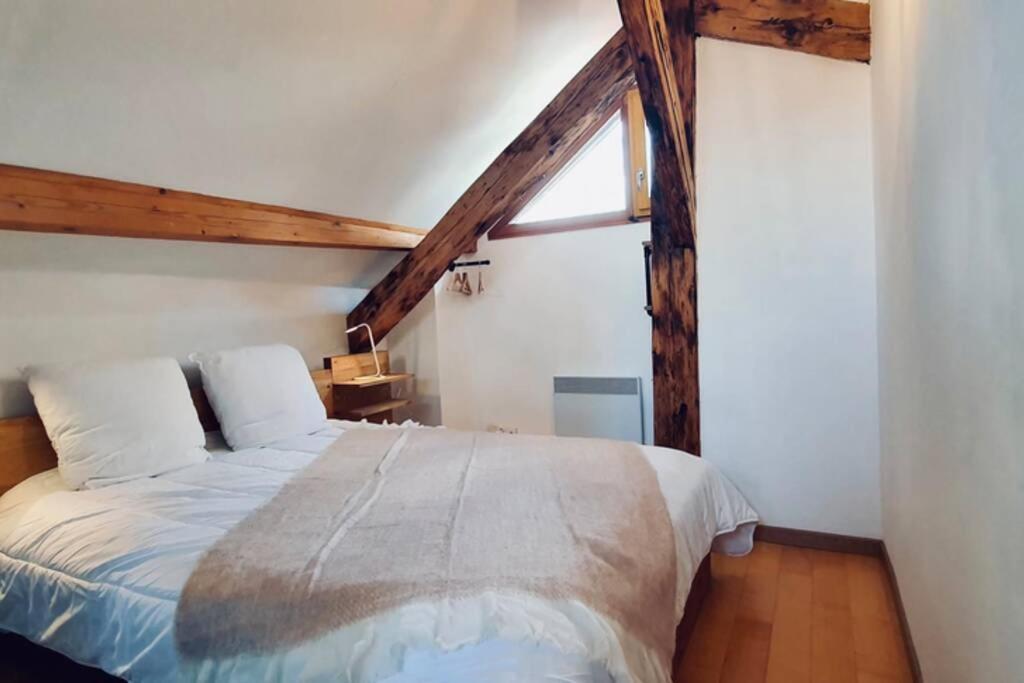 Ferienwohnung L'Appart Du Paquier Annecy Exterior foto
